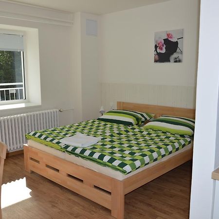 Penzion Havelka Apartmany Železná Ruda Eksteriør billede