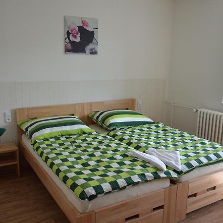 Penzion Havelka Apartmany Železná Ruda Eksteriør billede