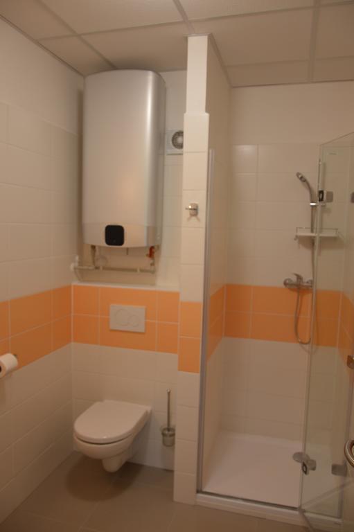 Penzion Havelka Apartmany Železná Ruda Eksteriør billede